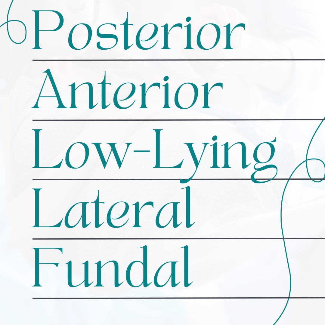 Posterior, Anterior, Low-lying, Lateral, Fundal